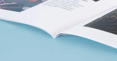 Страницы 170 гр.