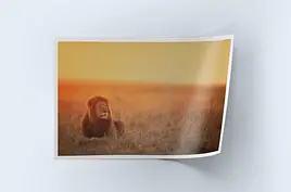 Большие форматы